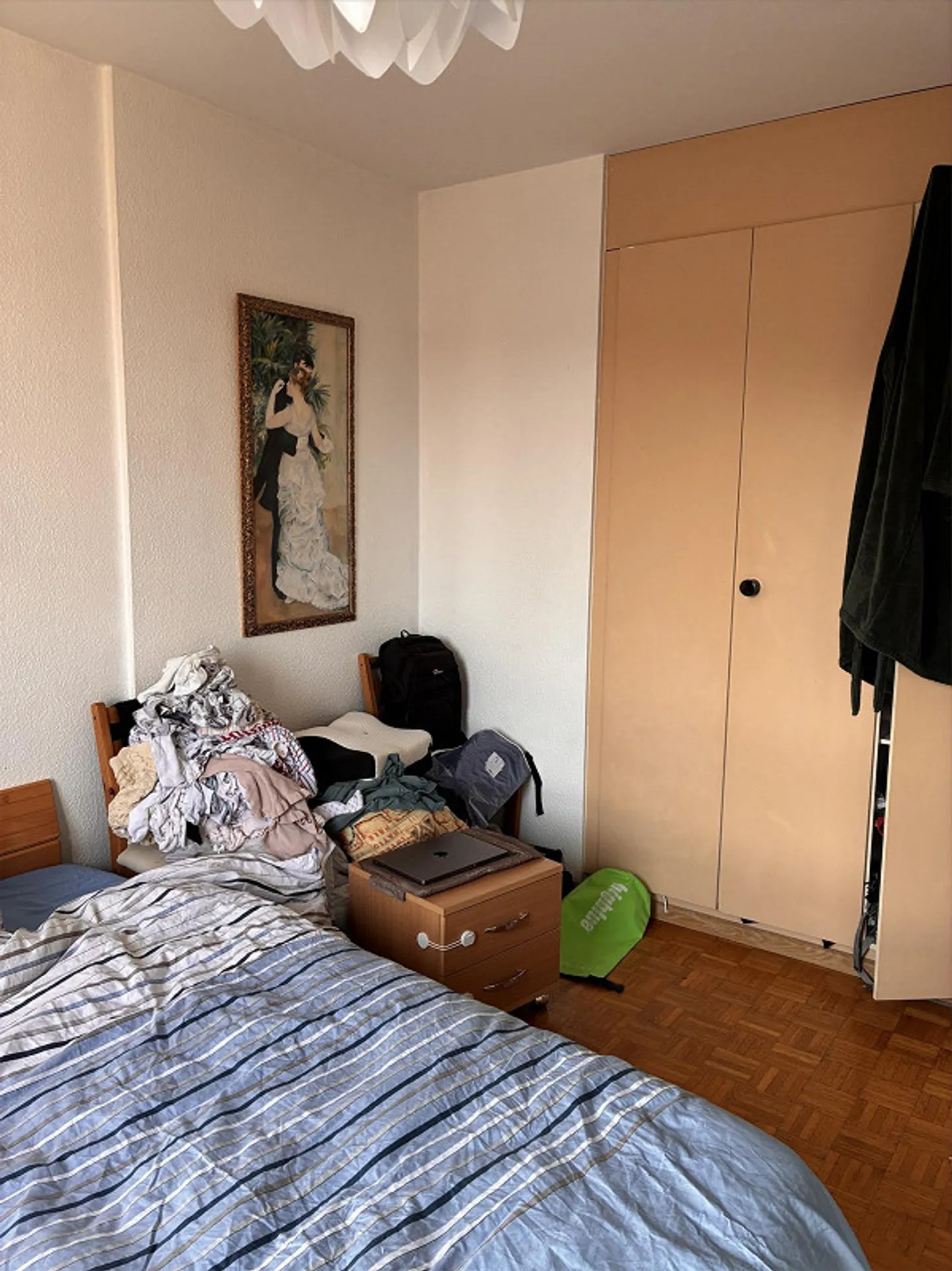 Appartement lumineux près de l'Arve - Photo 5 sur 8