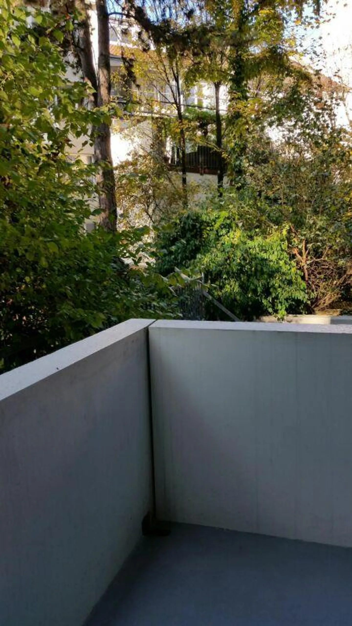 Beautiful apartment in the most central location - Ideal for singles/students or... - Photo 6 of 6