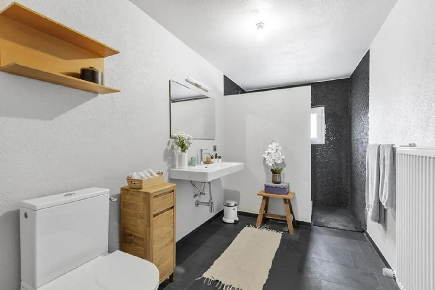 CHARME & SPAZIO? NEL VILLAGGIO, VICINO A ZURIGO - Foto 5 di 8