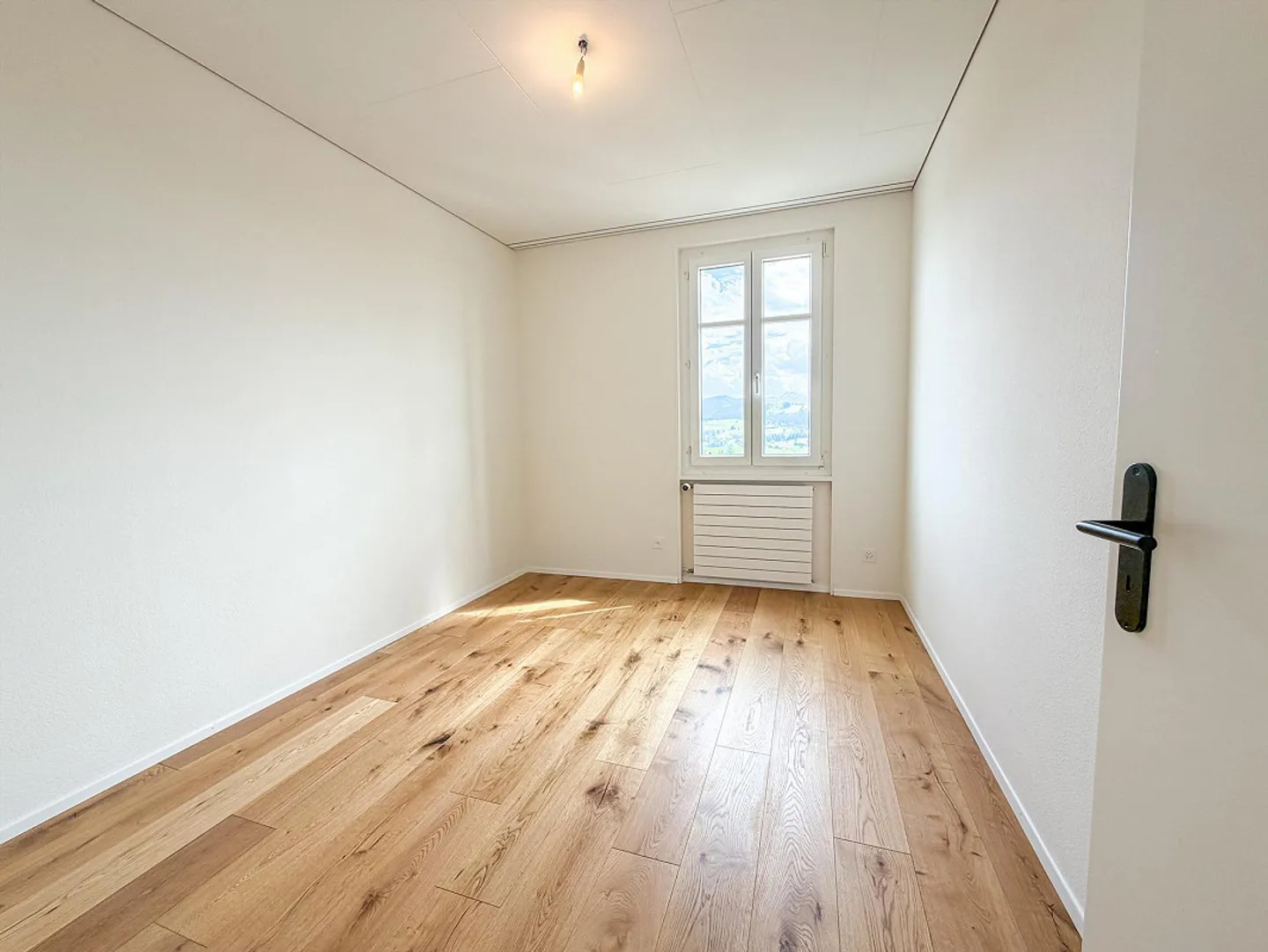 Appartamento in stile antico appena ristrutturato con vista sull'Alpstein - Foto 12 di 29