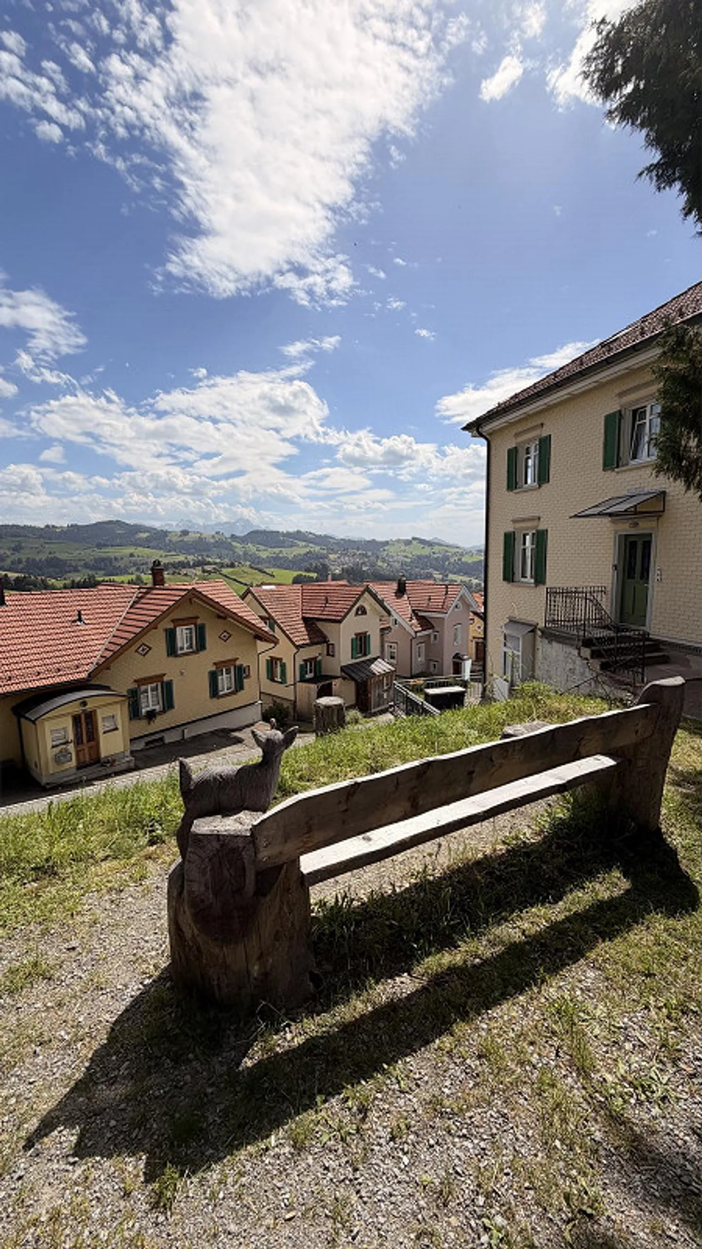Appartamento in stile antico appena ristrutturato con vista sull'Alpstein - Foto 22 di 29