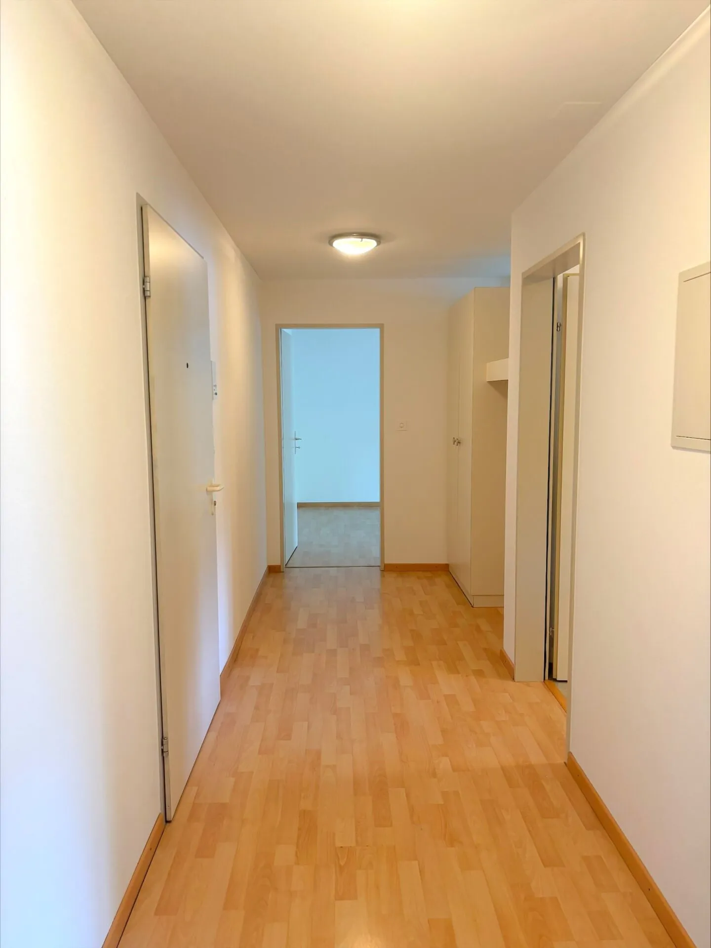 Appartamento giardino 2,5 stanze in affitto - Foto 4 di 7