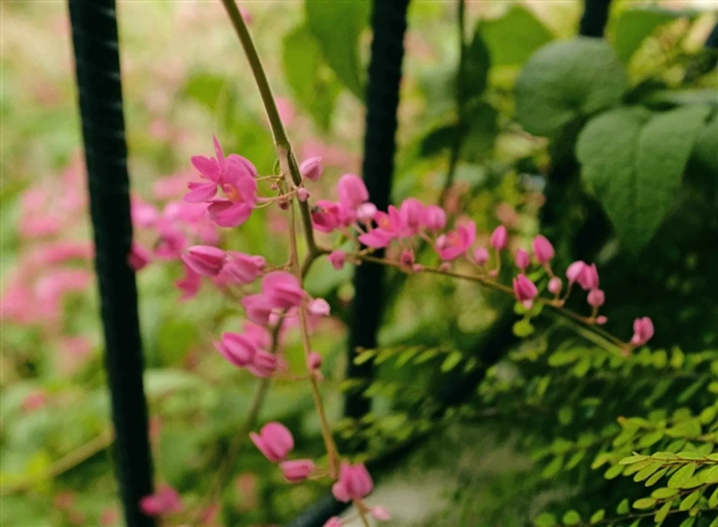 Maison de ville contemporaine - Photo 1 sur 5