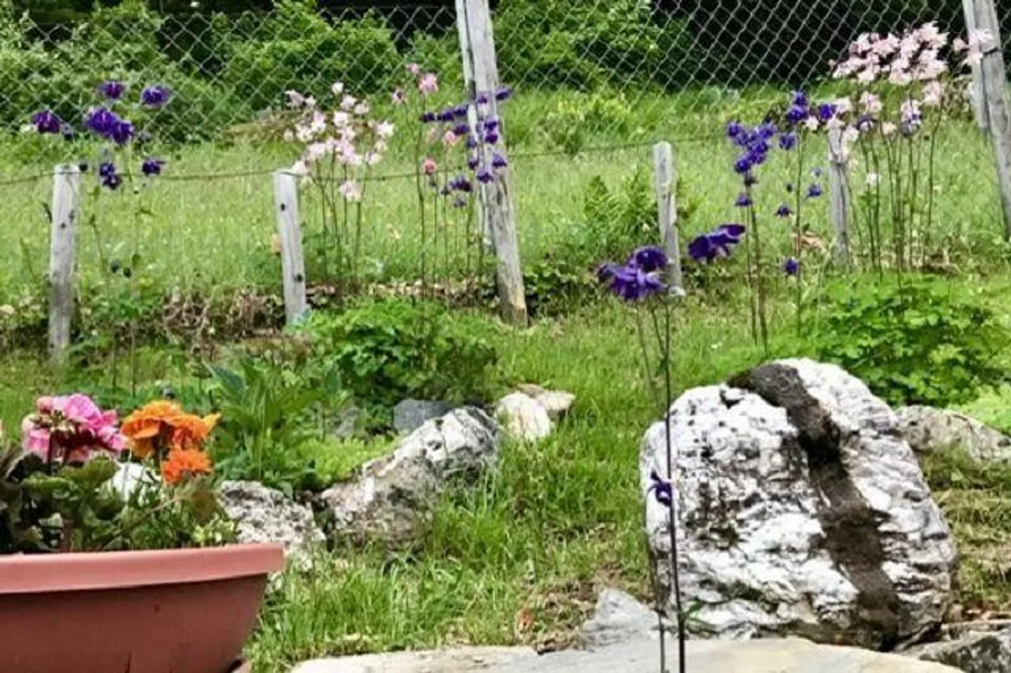 2 1/2-Room Rustic with Garden in a Very Quiet, Sunny Location... - Photo 15 of 29