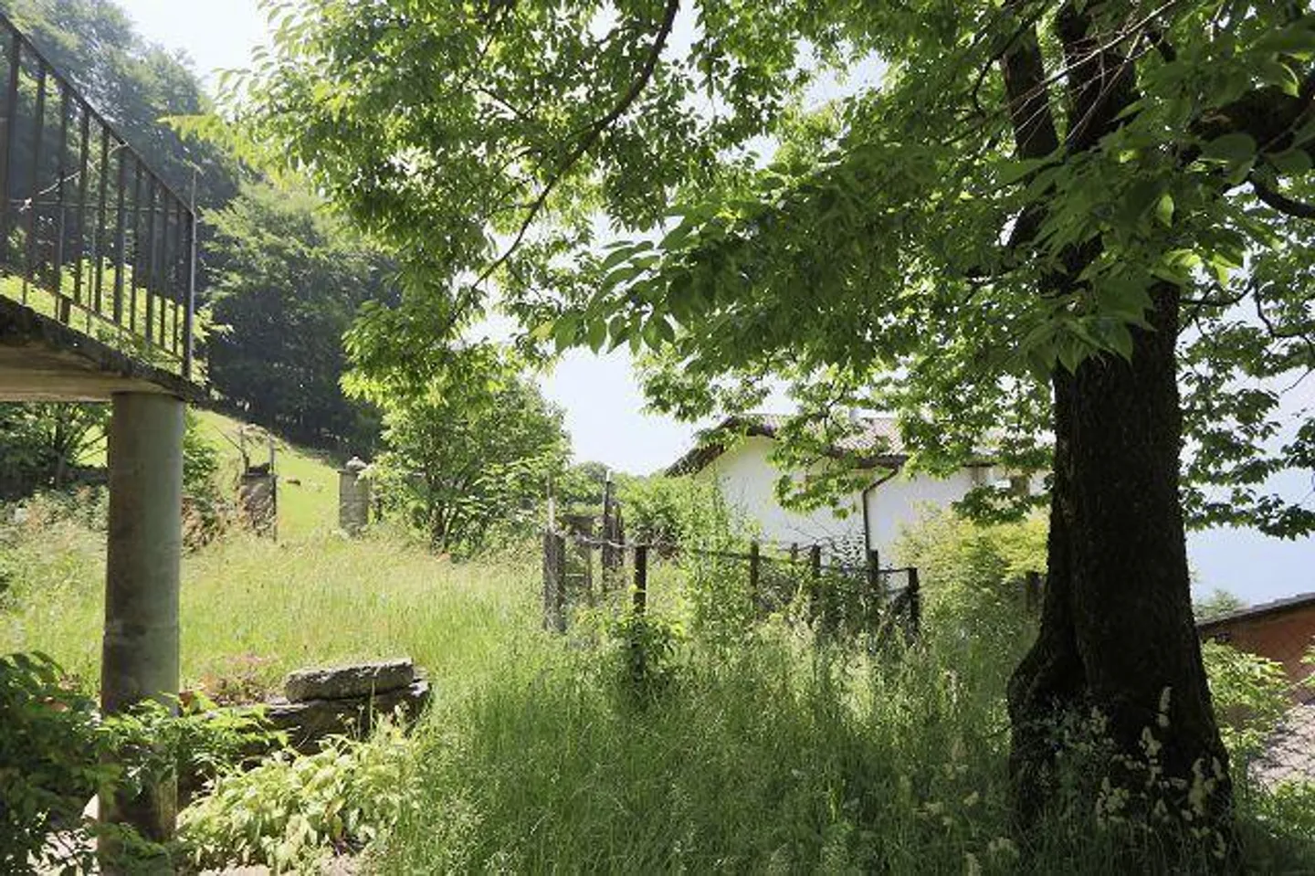 2 1/2-Room Rustic with Garden in a Very Quiet, Sunny Location... - Photo 21 of 29