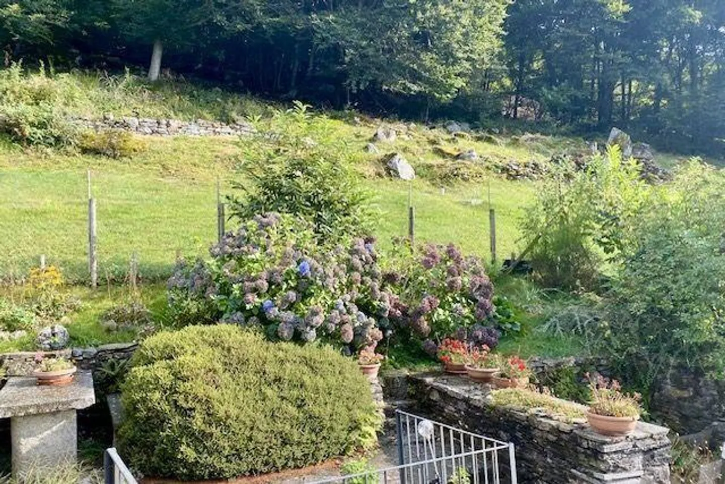2 1/2-Room Rustic with Garden in a Very Quiet, Sunny Location... - Photo 22 of 29