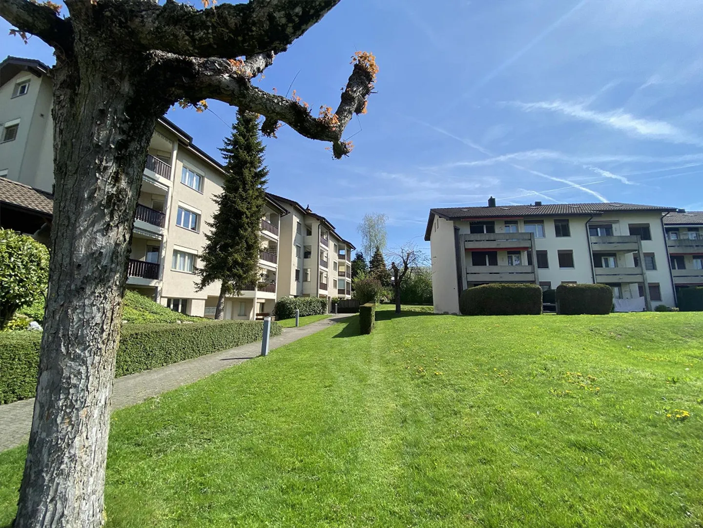 Appartement 3.5 pièces abordable dans un emplacement central entouré de verdure - Photo 8 sur 8