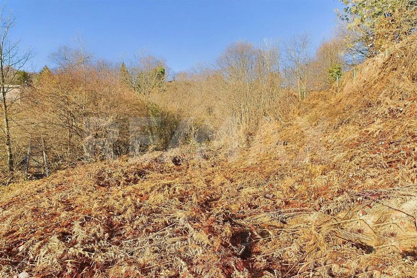 Baugrundstück in Cademario mit offener Aussicht - Foto 6 von 13