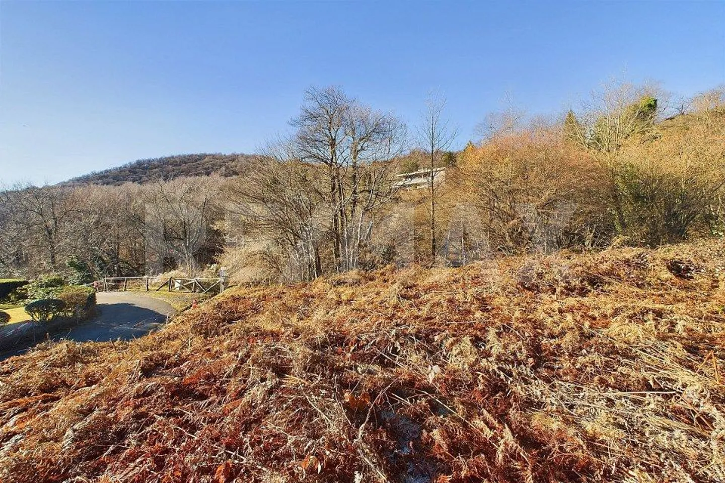 Baugrundstück in Cademario mit offener Aussicht - Foto 5 von 13