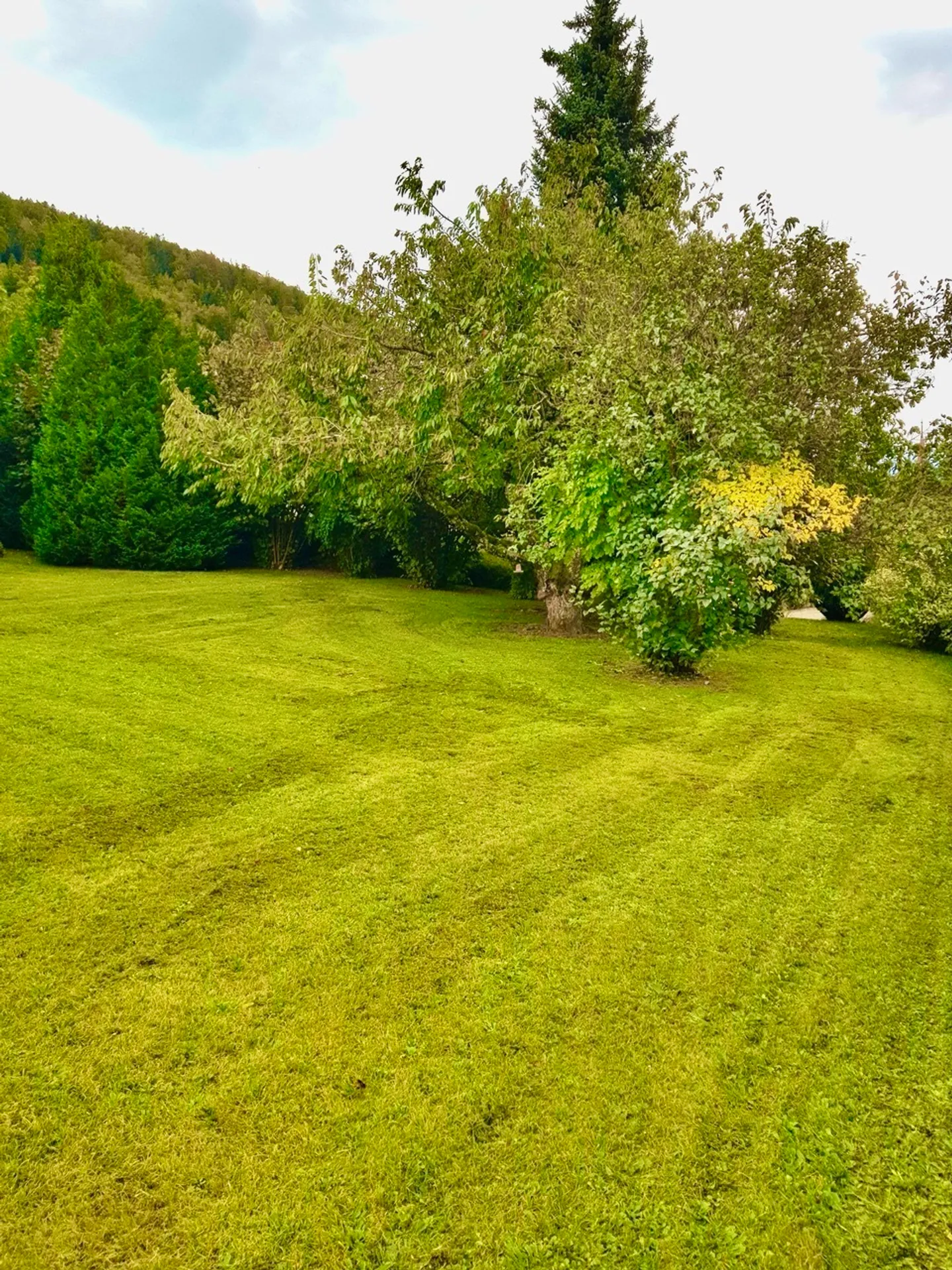 Propriété familiale unique dans un endroit calme, à 5 minutes des Cadolles (NE) - Photo 3 sur 13