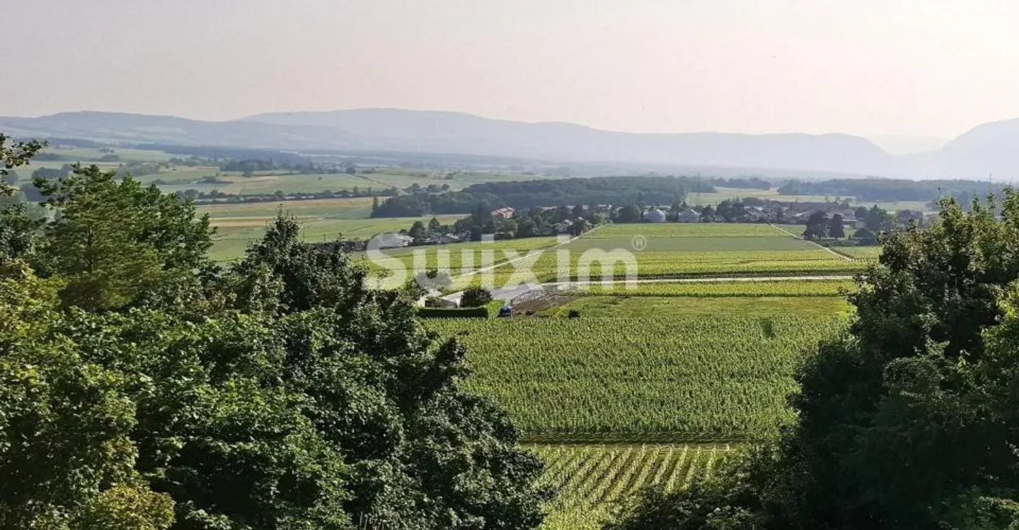 Charming Villa with Spacious Garden - Photo 1 of 1