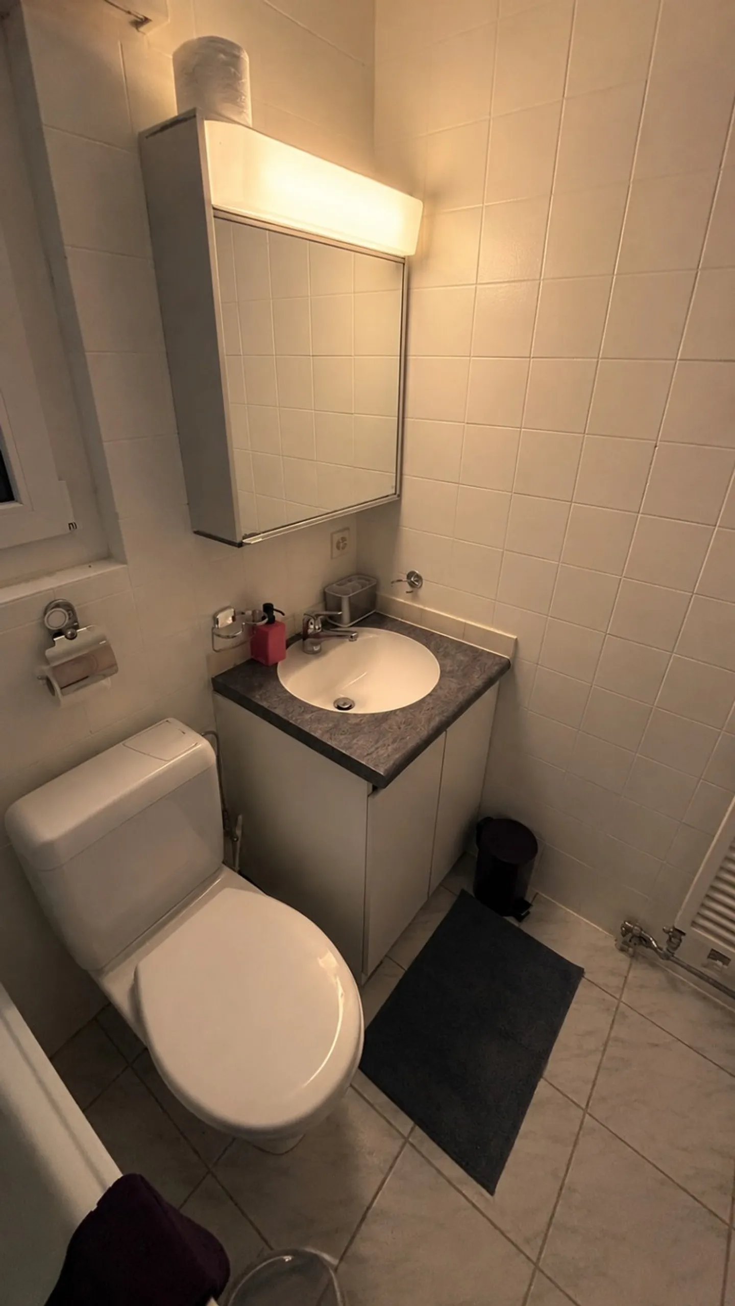 Appartamento moderno e luminoso con 2,5 stanze – completamente arredato, posizione privilegiata ad Adliswil - Foto 11 di 13