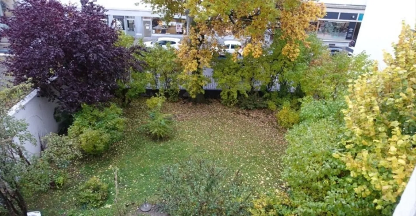 Immeuble mixte à louer - Photo 3 sur 3