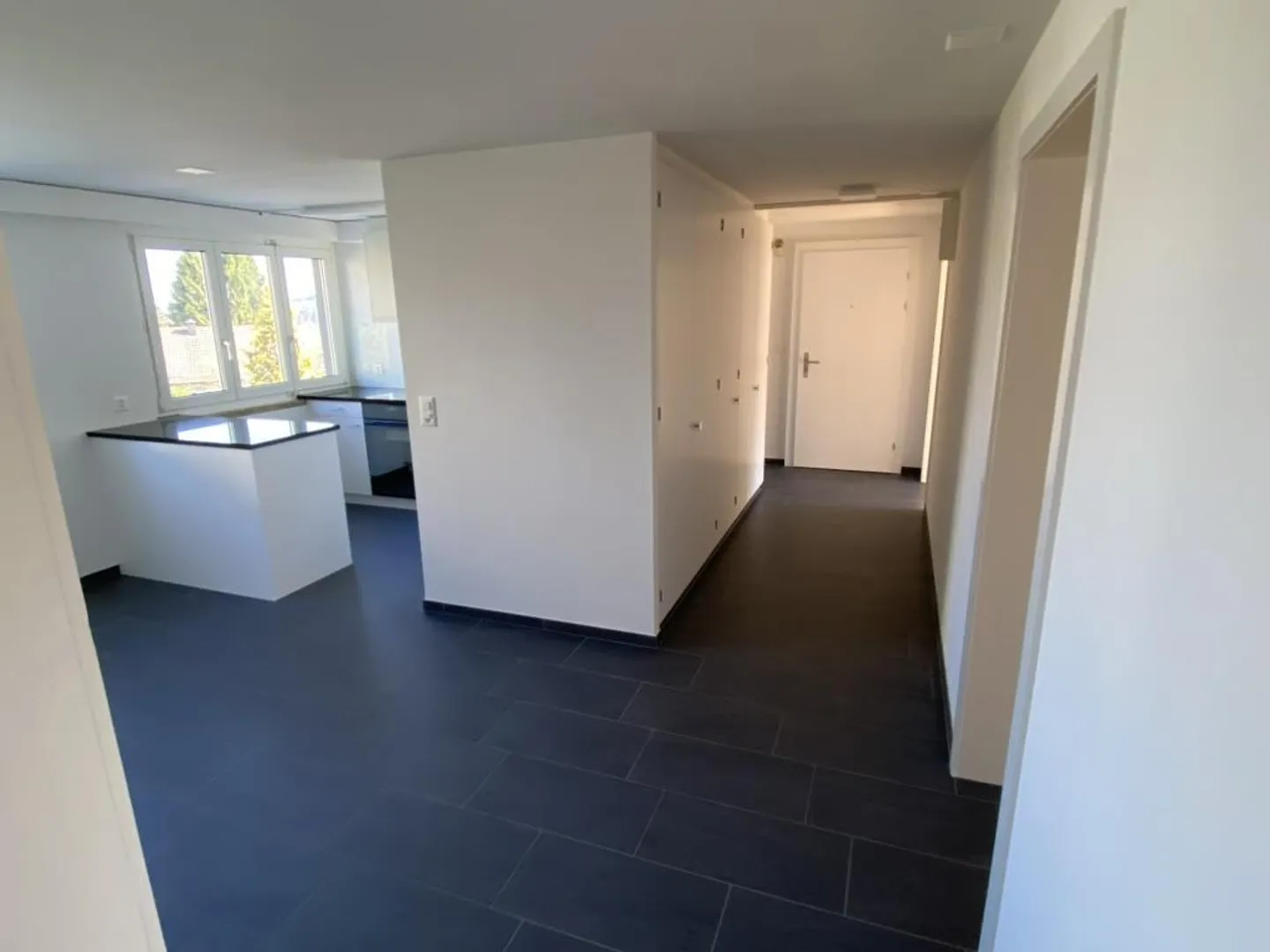 Spacious 4 1/2 room apartment - Photo 2 of 11