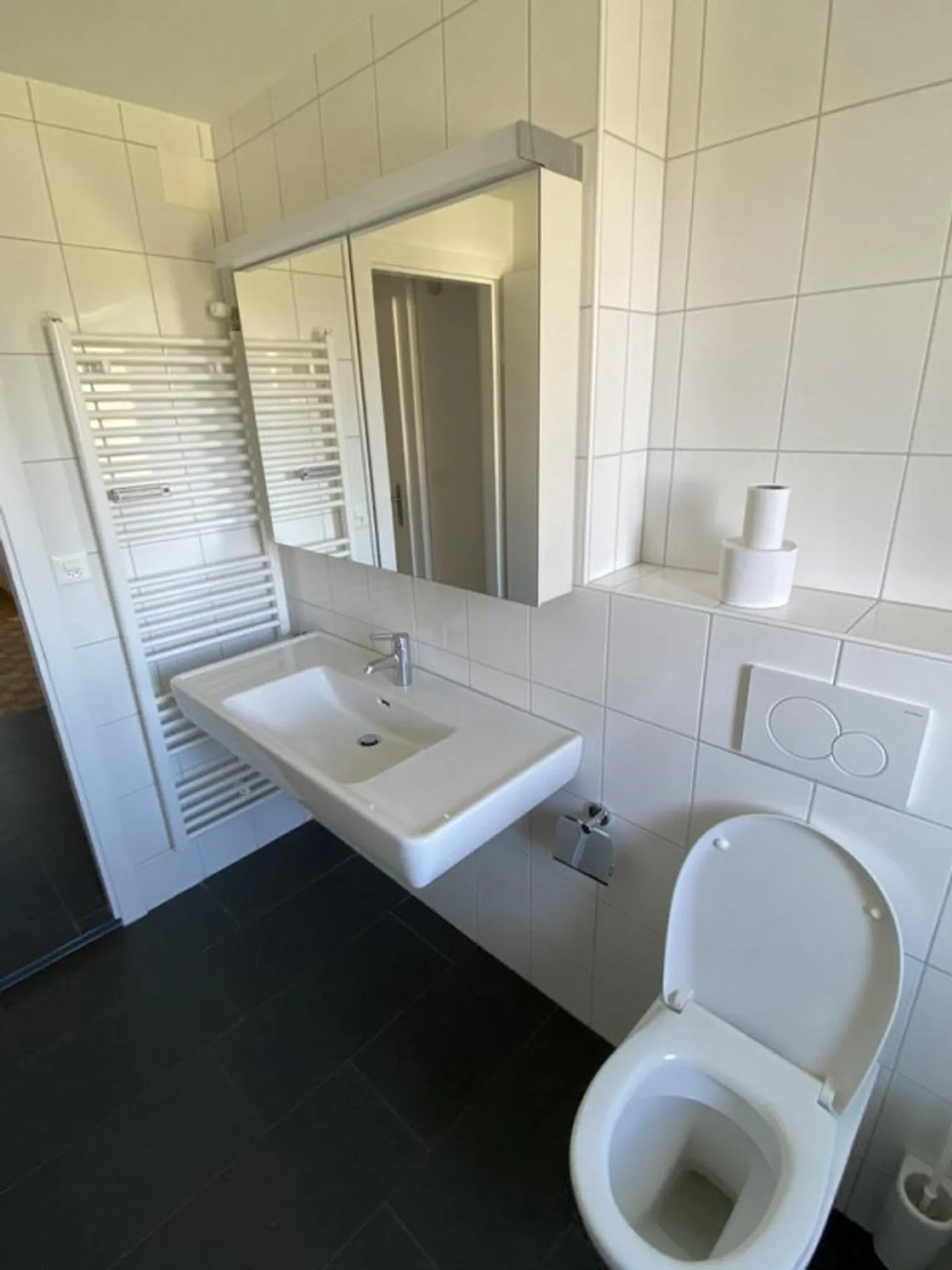 Spacious 4 1/2 room apartment - Photo 4 of 11