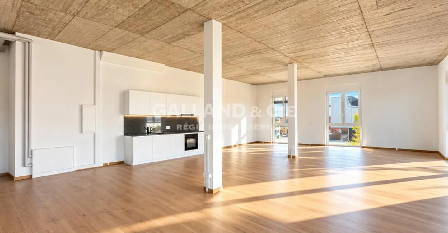 IHRE ZUKÜNFTIGE GEWERBEFLÄCHE IN SAINT-AUBIN – 56, 98 ODER 105 M2 - Foto 3 von 7