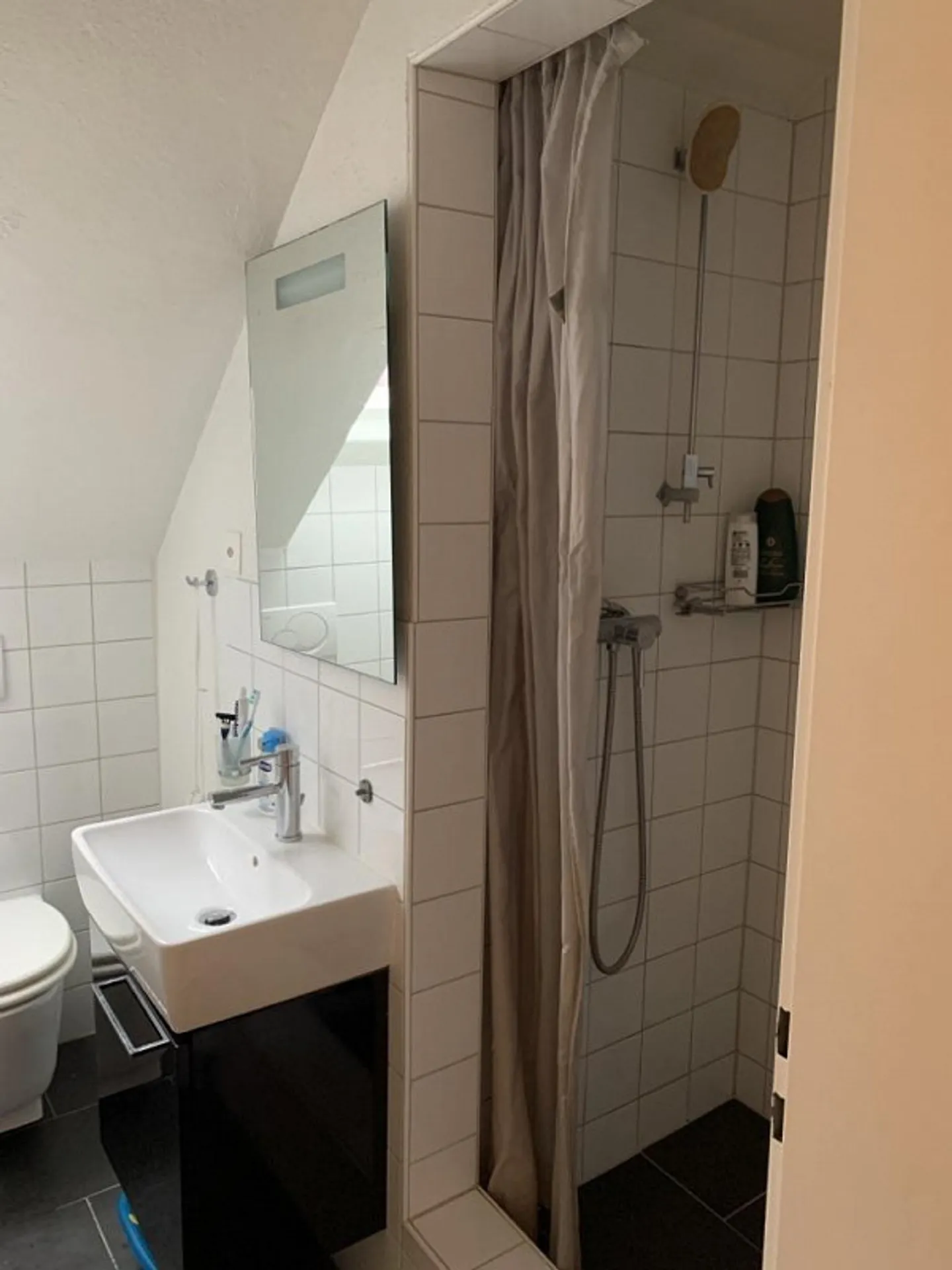 Bell'appartamento per affari vicino alla stazione ferroviaria di Oerlikon - Foto 7 di 7