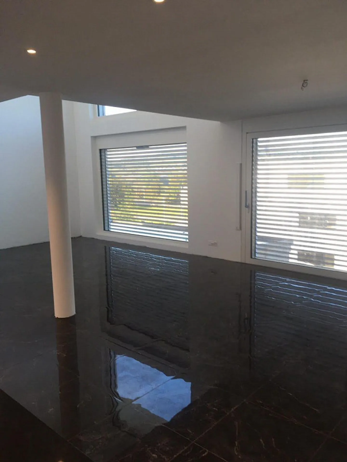 Maison individuelle de 6 pièces avec vue sur le lac et terrasse sur le toit à Boniswil à vendre - Photo 5 sur 8