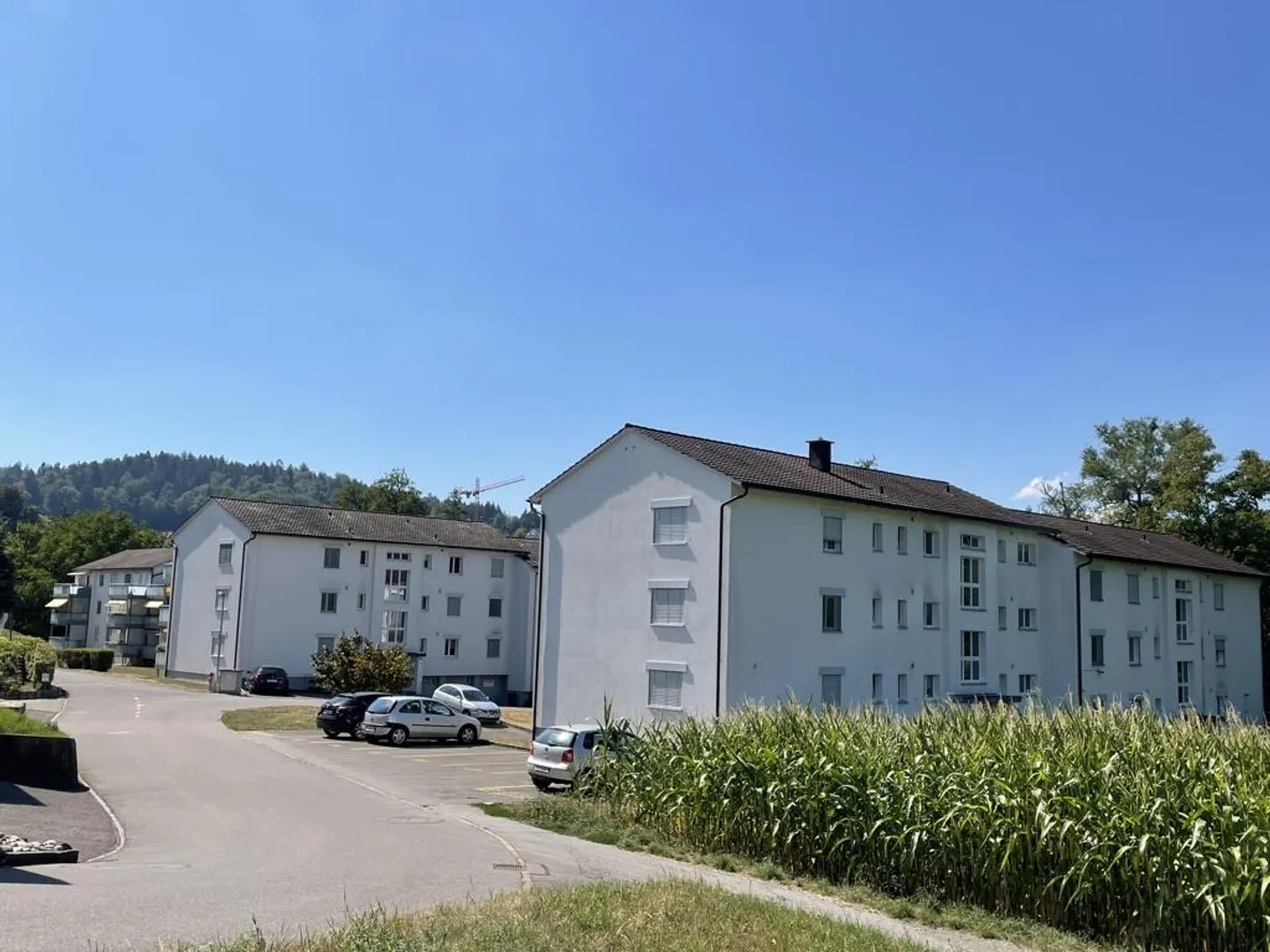 Hübsche 3-Zimmerwohnung - Foto 1 von 5