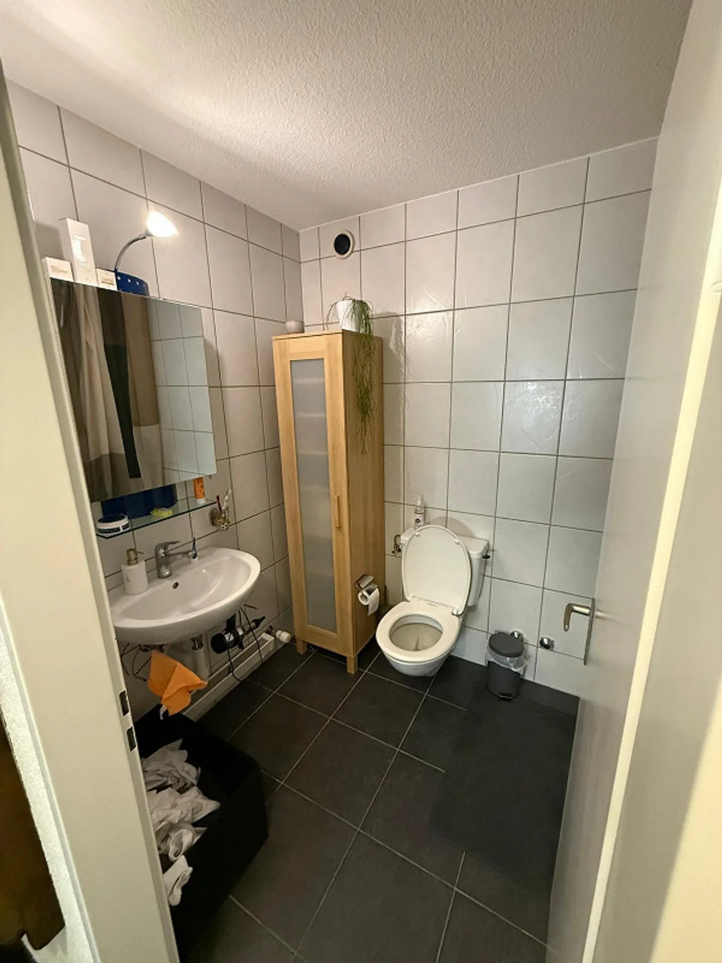 Appartamento 1.5 stanze al 5° piano, 33m2 incluso posto auto e balcone - Foto 6 di 7