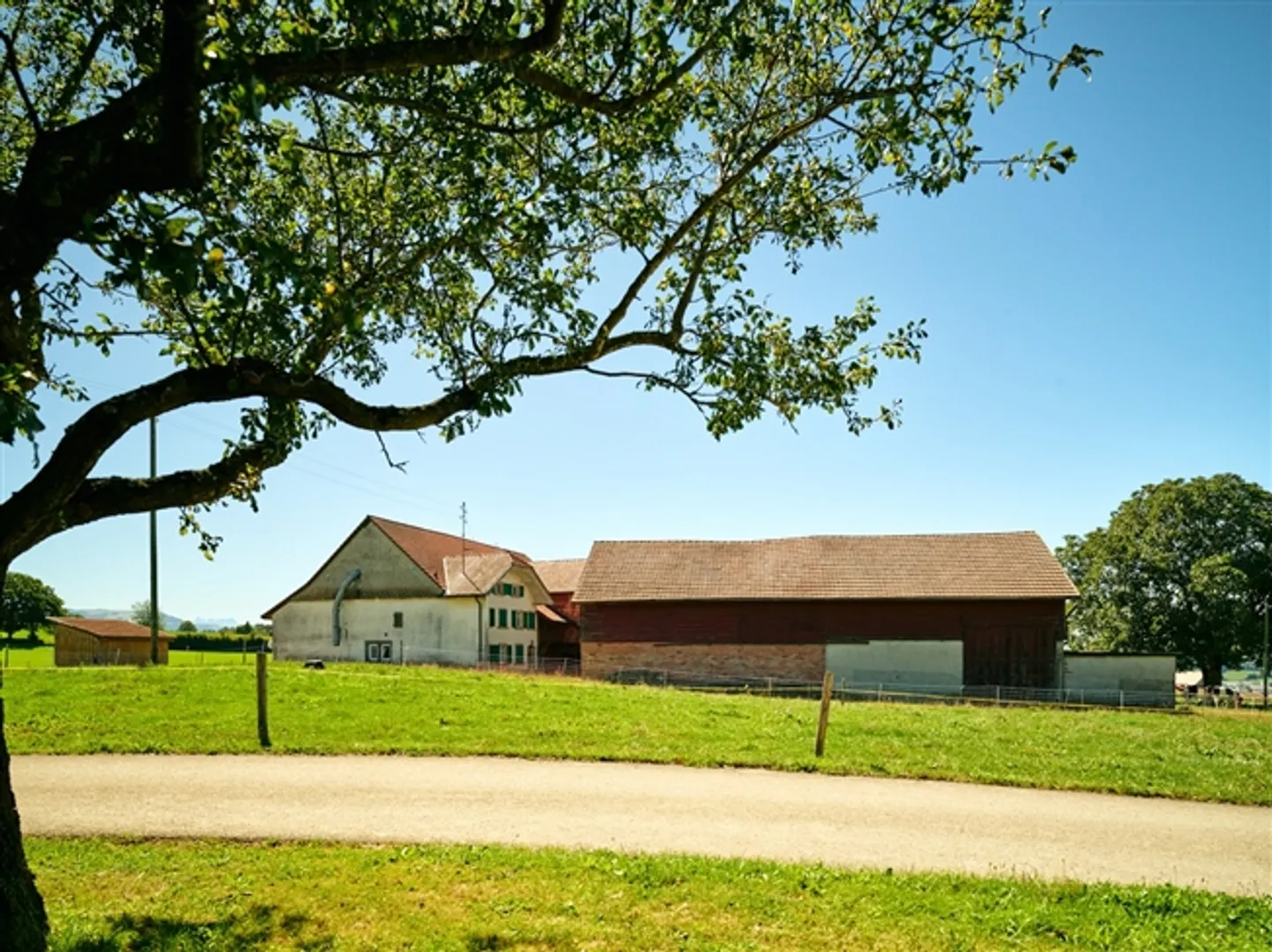 Ferme indépendante avec dépendances. Grand terrain et grand potentiel. - Photo 5 sur 7