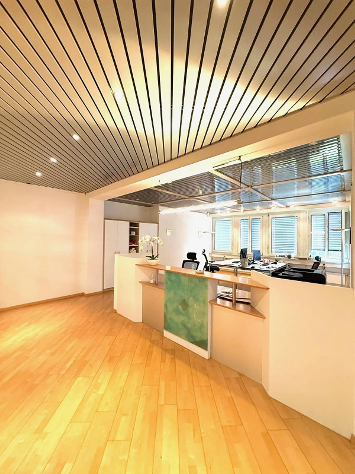 Your new business location in the heart of Cham - Photo 6 of 10