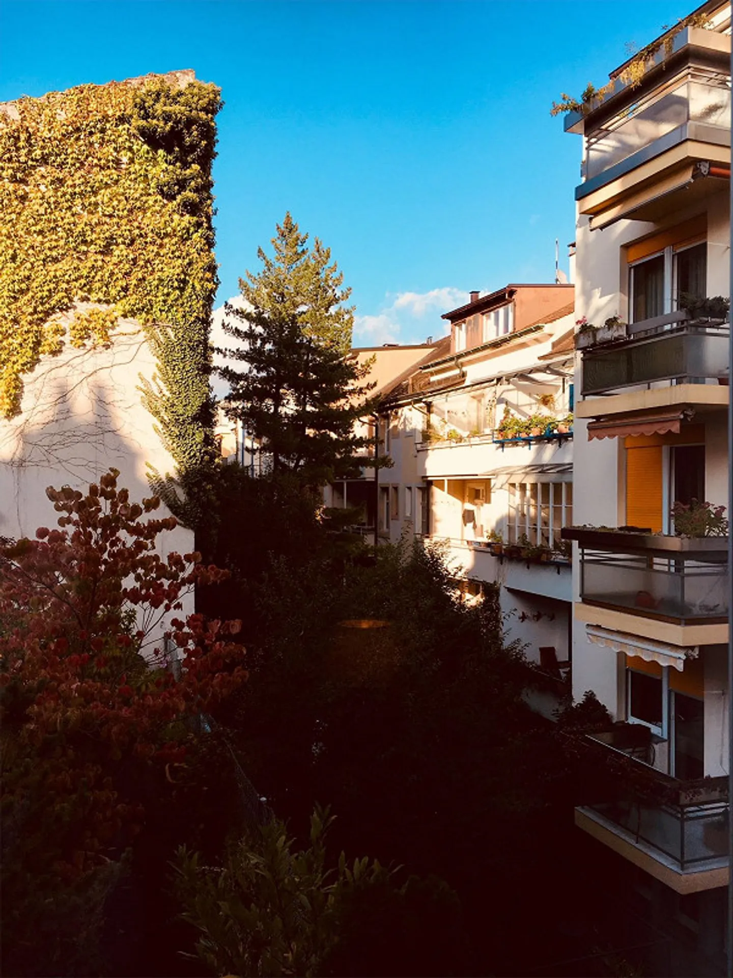 Spacious 4.5-room apartment with balcony and fireplace in Basel-Gotthelf - Photo 11 of 12