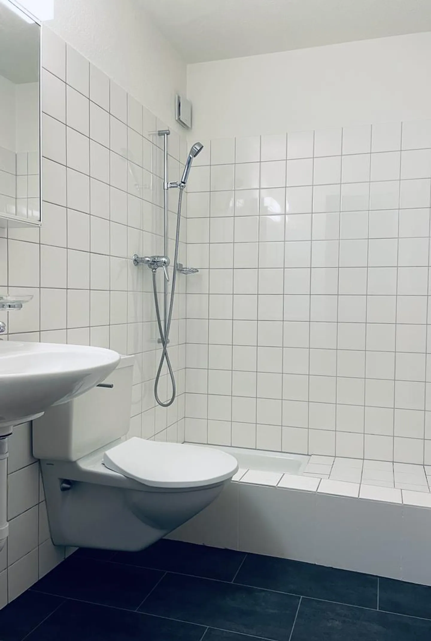 Appartement 4.5 pièces à Zurich-Höngg - Photo 4 sur 10
