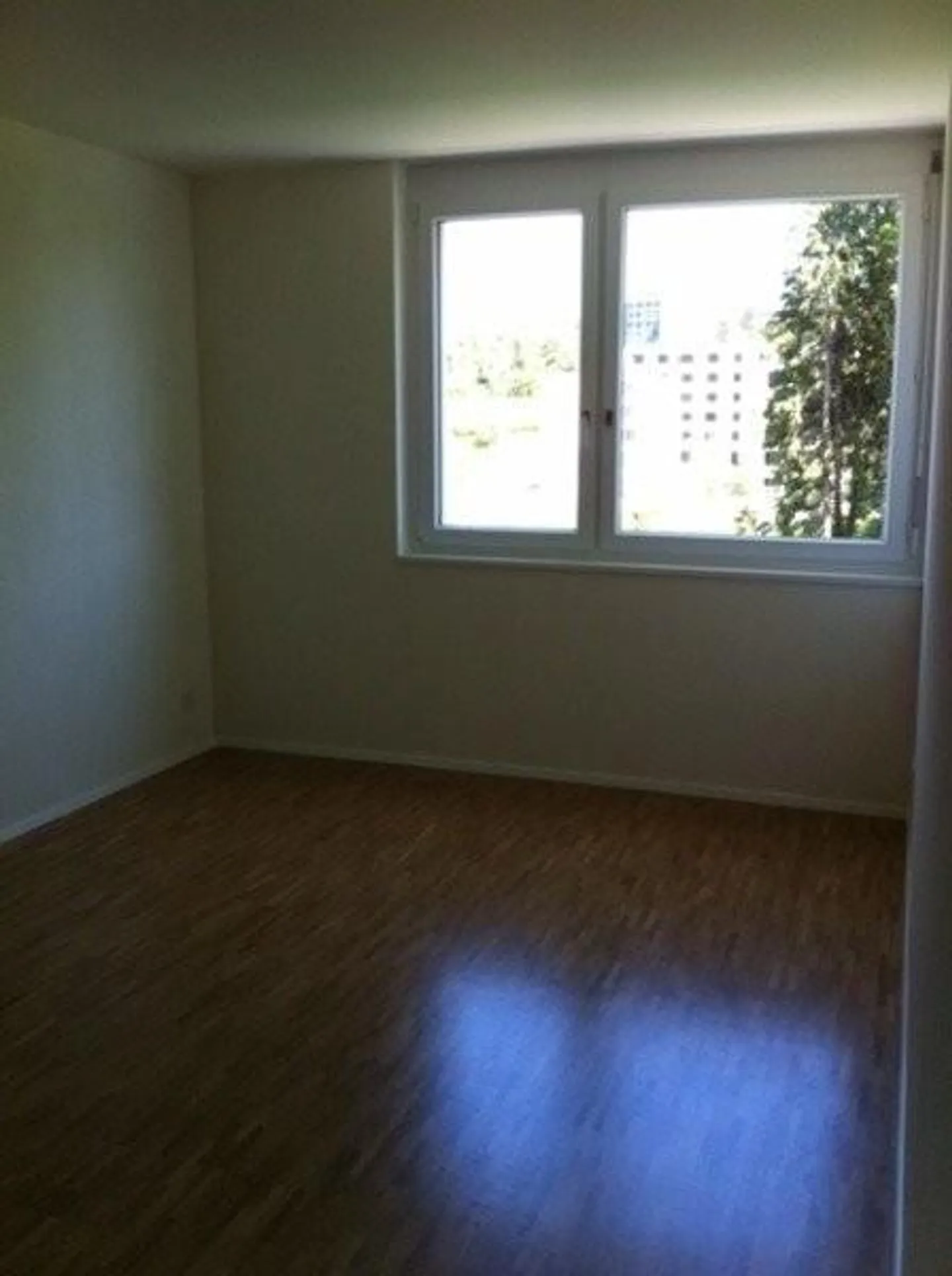 Charming Apartment in Adliswil - Photo 4 of 9