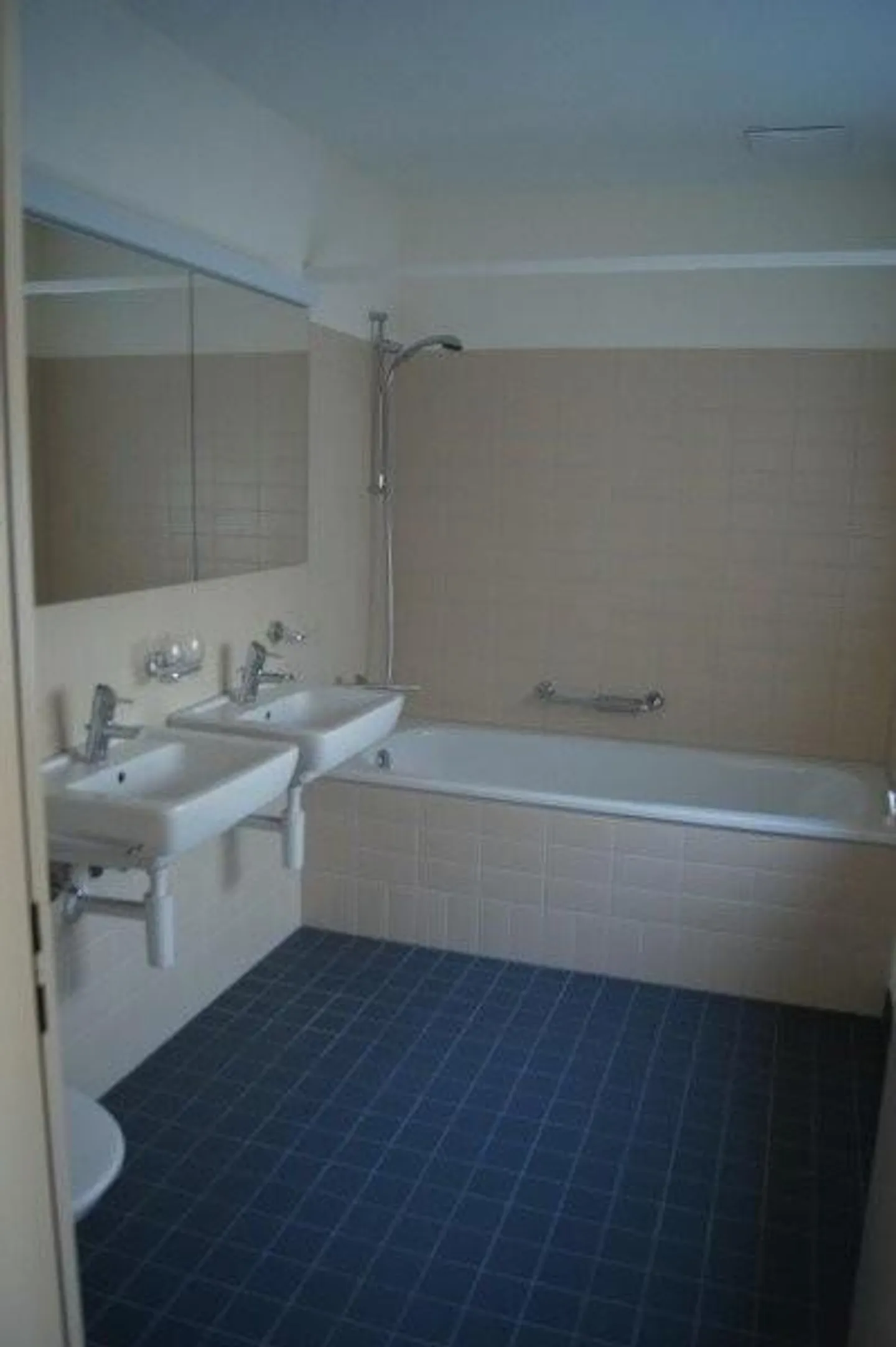 Charming Apartment in Adliswil - Photo 5 of 9