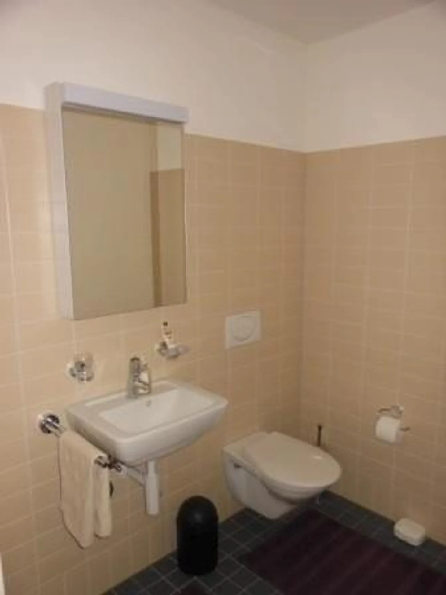 Charming Apartment in Adliswil - Photo 6 of 9