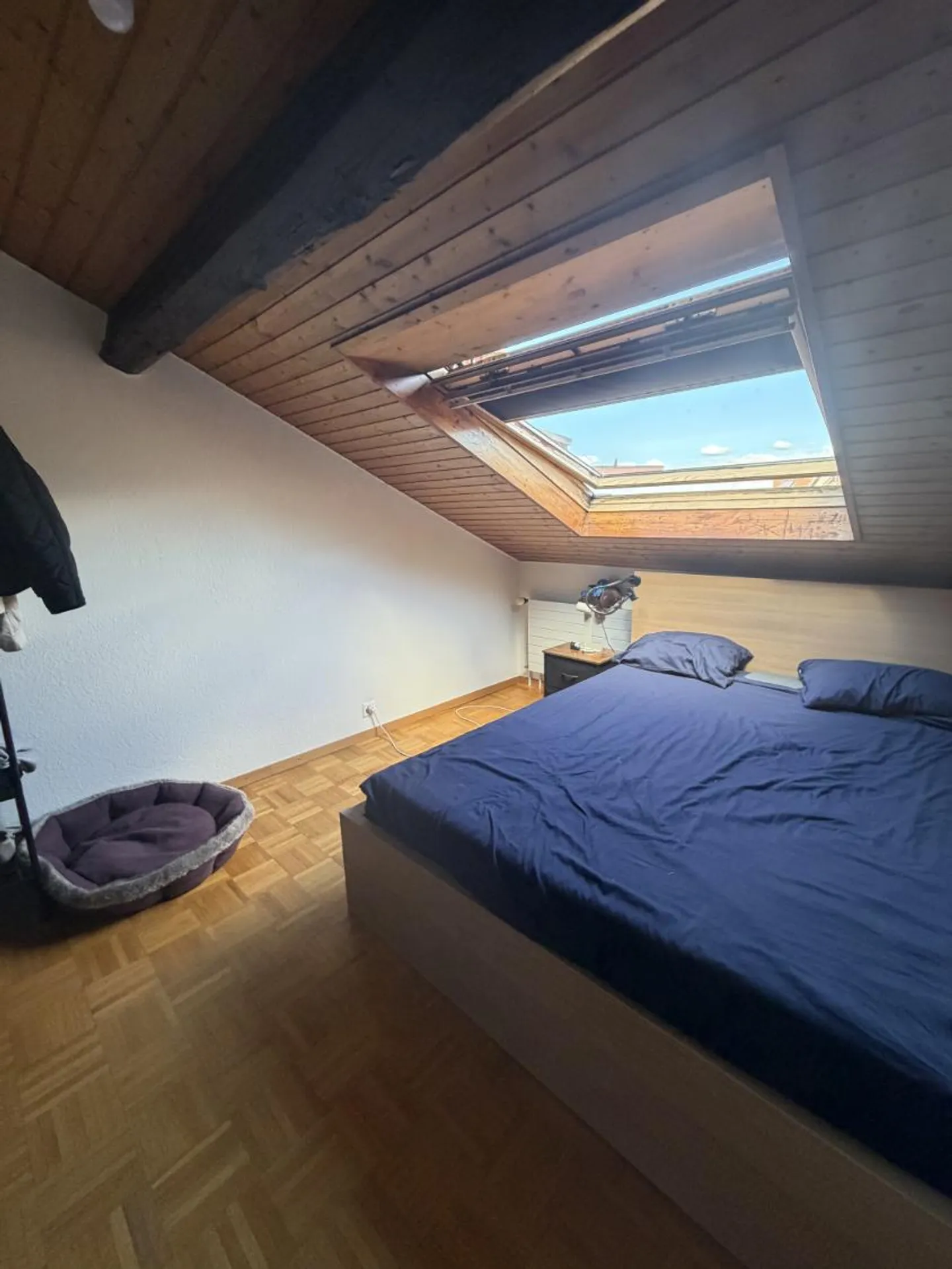 Appartamento 3 locali - Foto 8 di 10