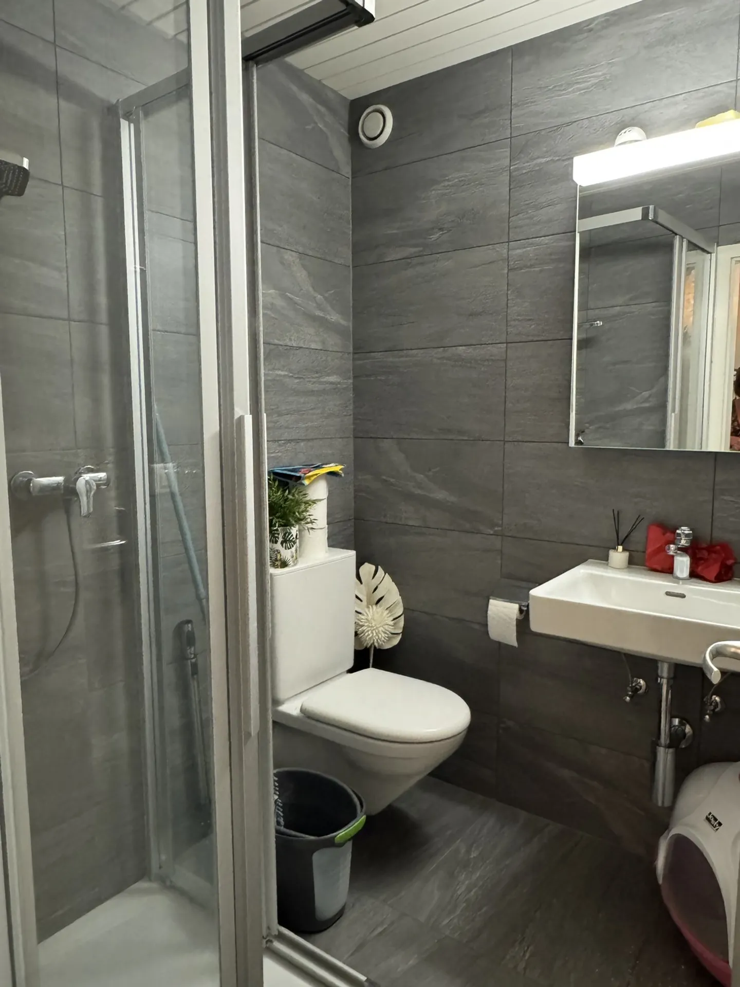 Partially renovated 4.5-room apartment in a renovated farmhouse - Photo 8 of 13