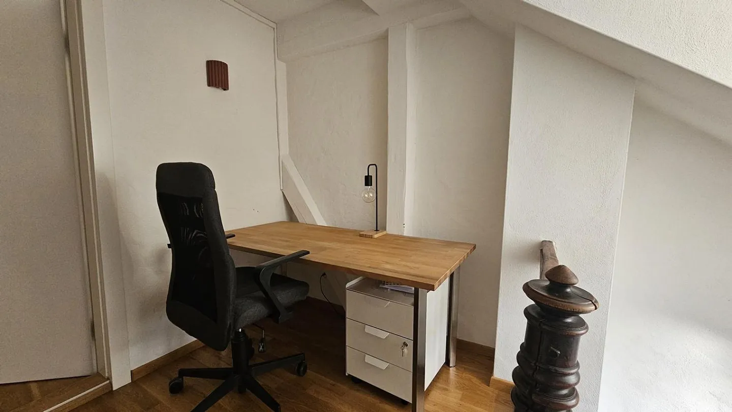 Room in the heart of St. Gallen - Photo 6 of 13