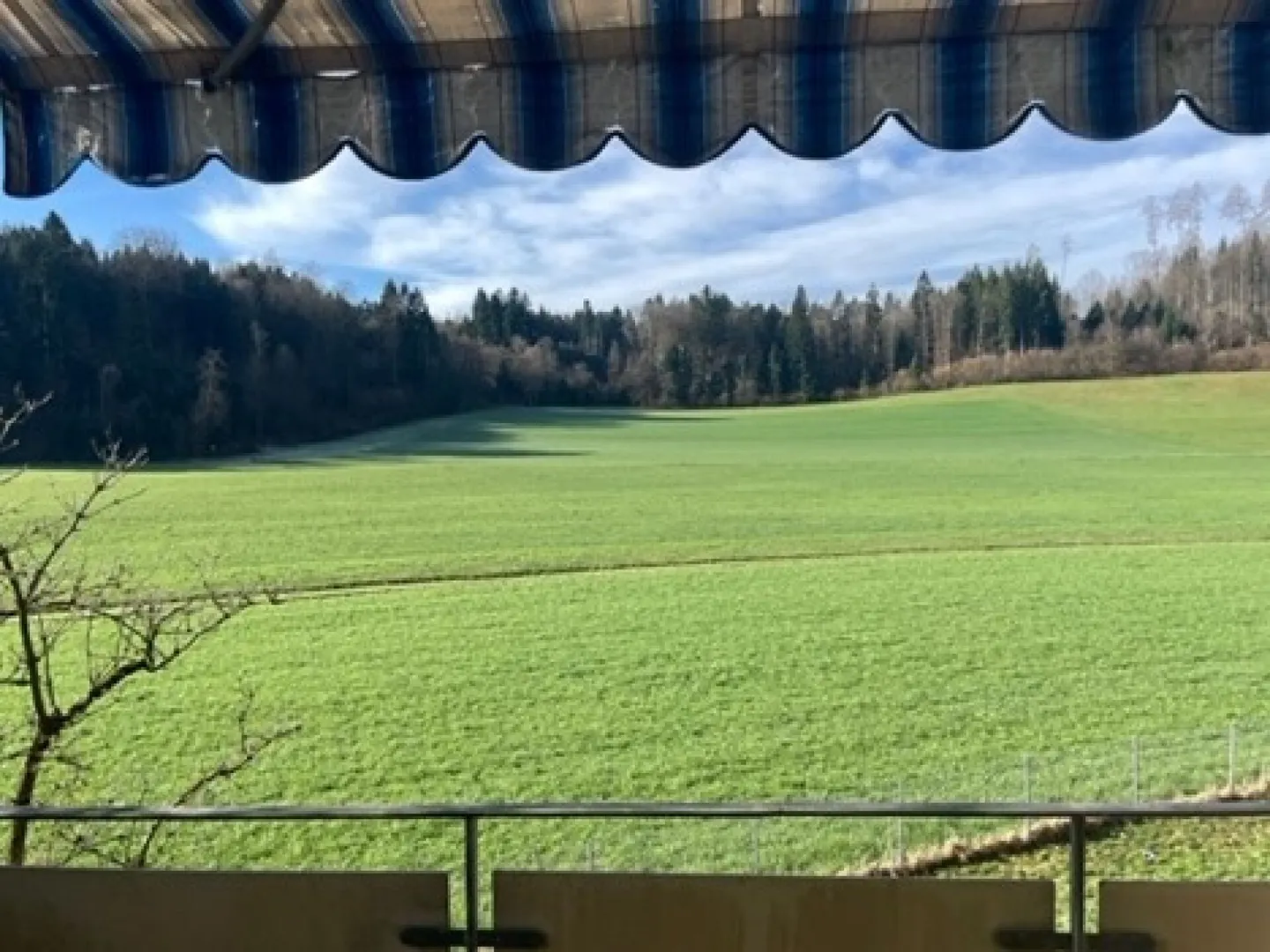 Charmante Wohnung mit Balkon - Foto 4 von 7