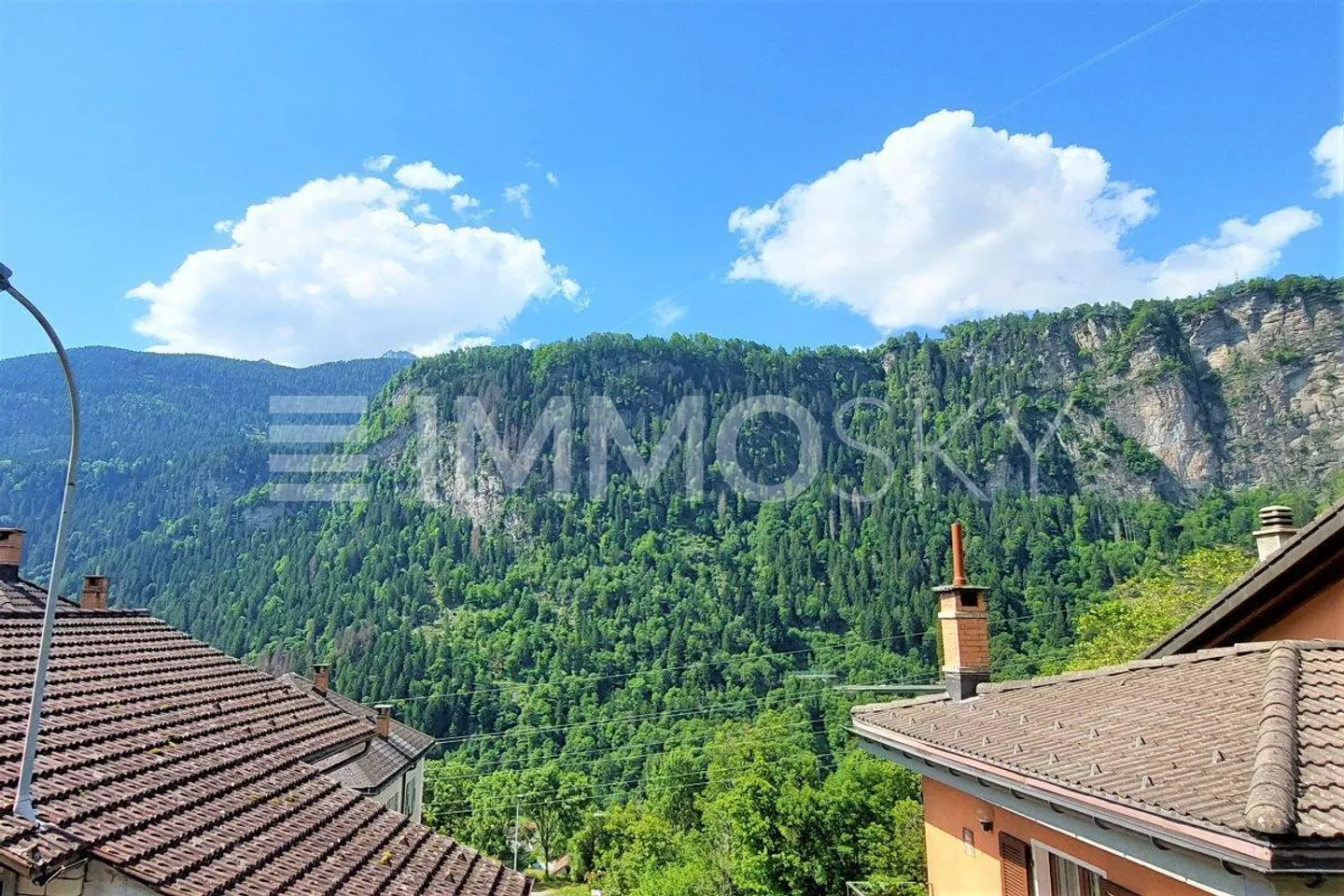 Ein Nest, das in der Natur liegt - Foto 1 von 5