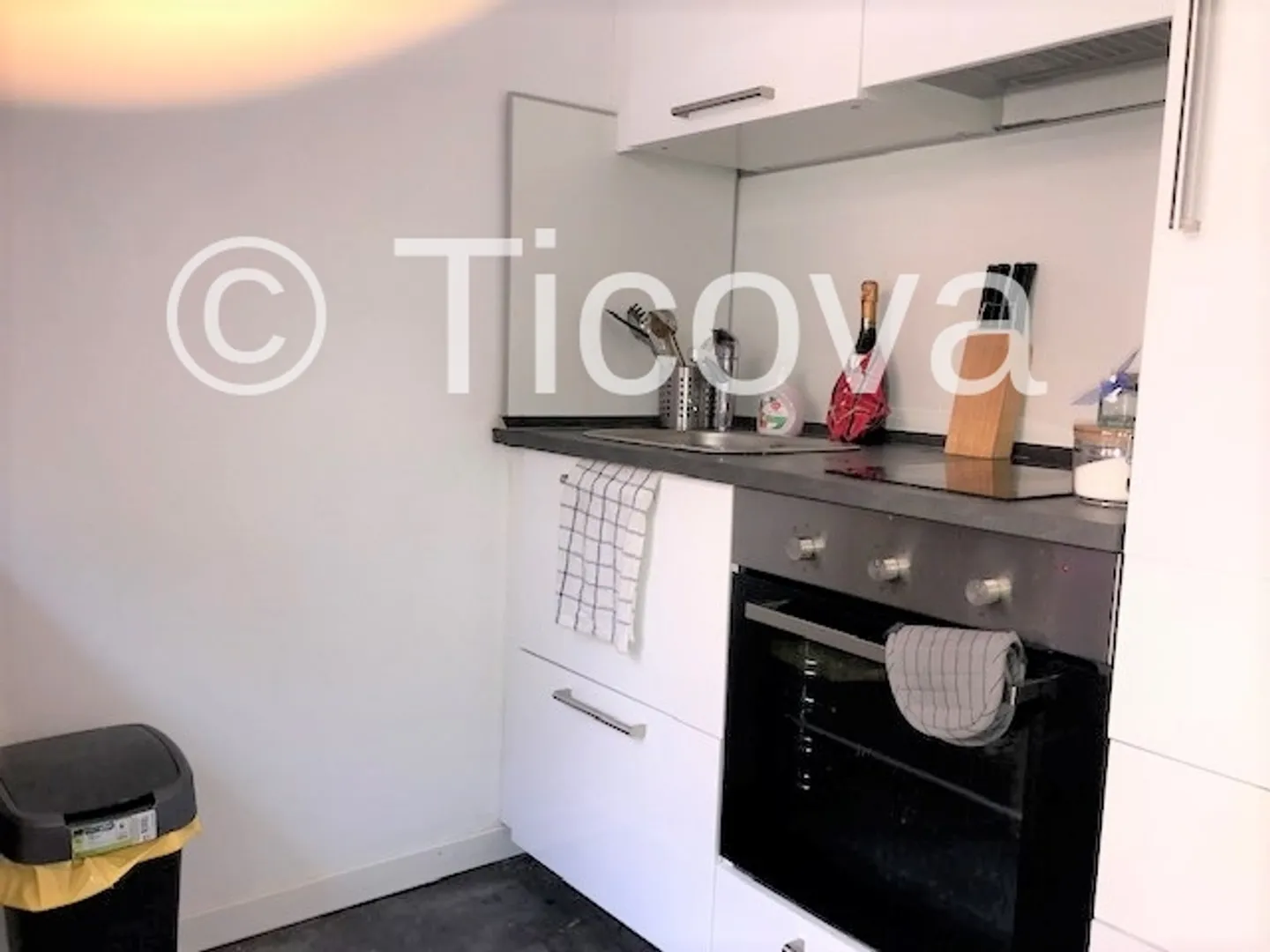 Cozy Studio Apartment in Locarno - Photo 4 of 5