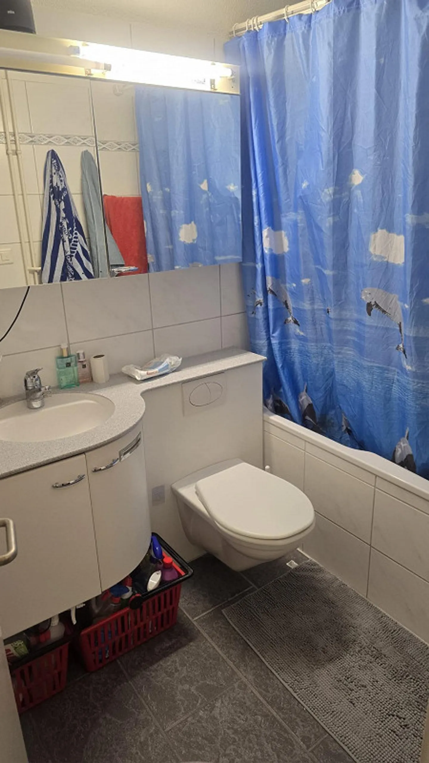 Camera condivisa luminosa di 20 m² nel centrale Höngg - Foto 6 di 6