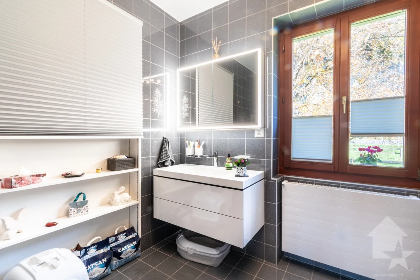 Chablais Vaudois - Villa and Agricultural Building Ideal for Horses - Photo 8 of 34