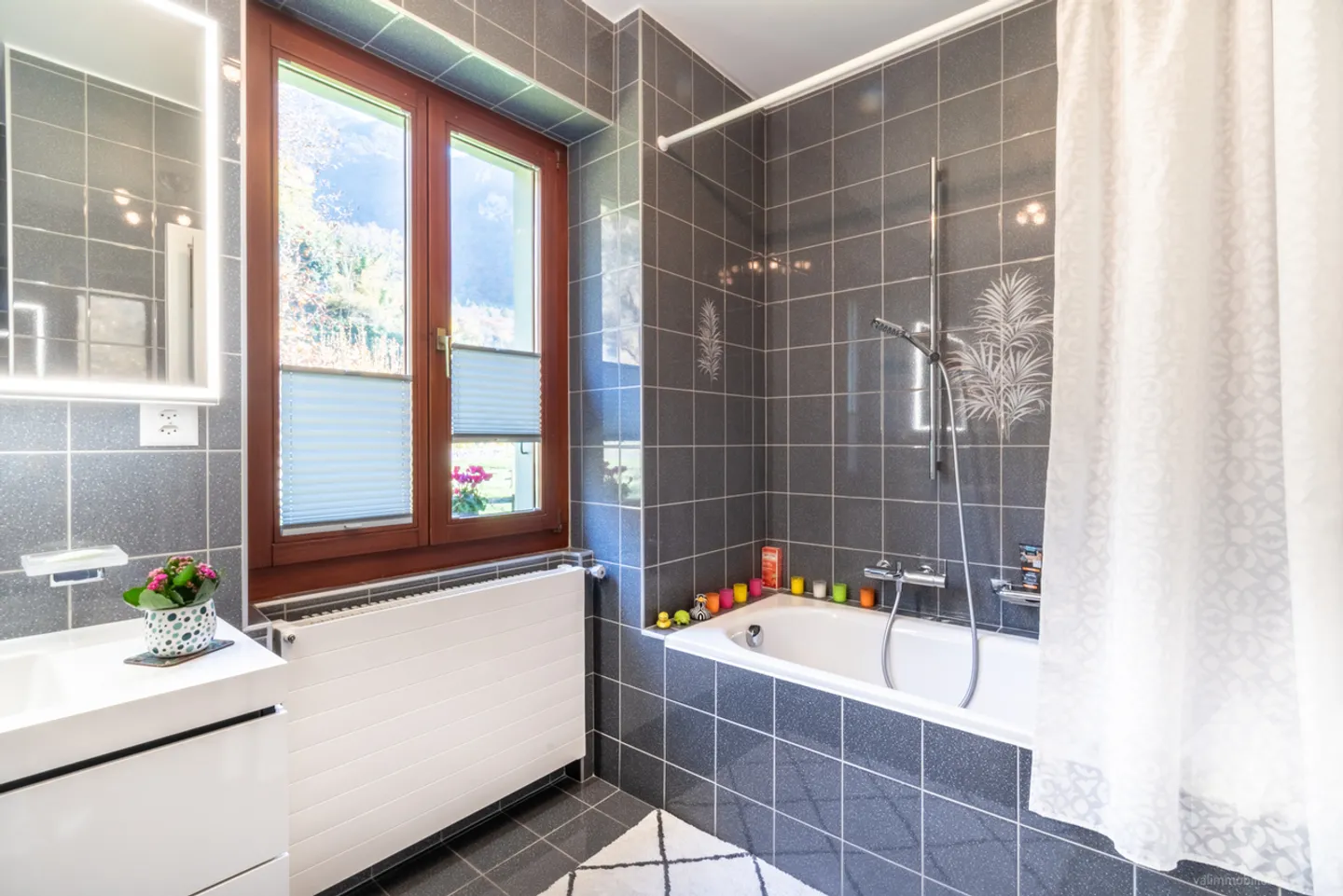 Chablais Vaudois - Villa and Agricultural Building Ideal for Horses - Photo 9 of 34