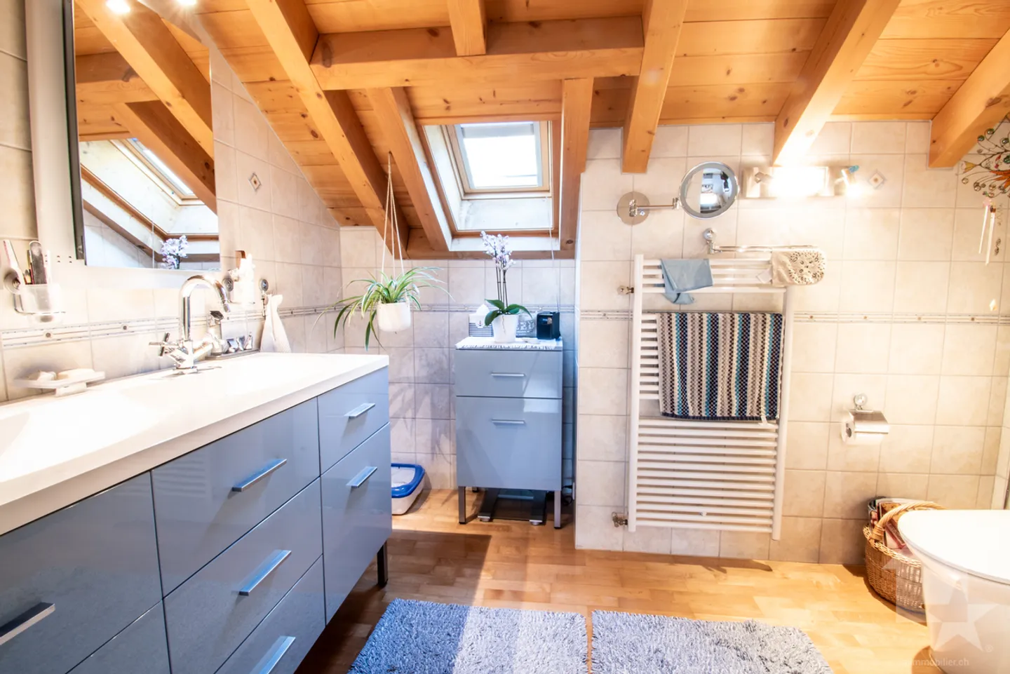 Chablais Vaudois - Villa and Agricultural Building Ideal for Horses - Photo 17 of 34