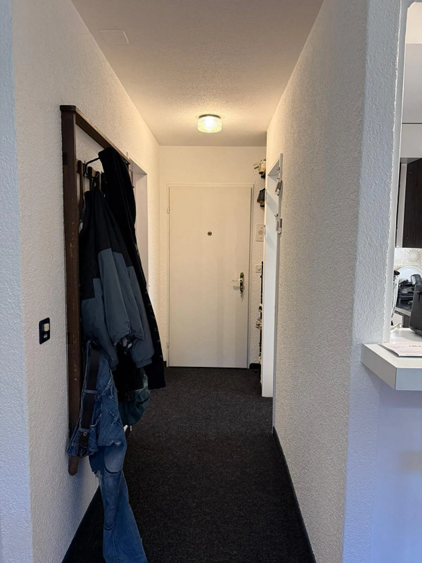 Appartamento 1.5 stanze al 5° piano, 33m2 incluso posto auto e balcone - Foto 3 di 7