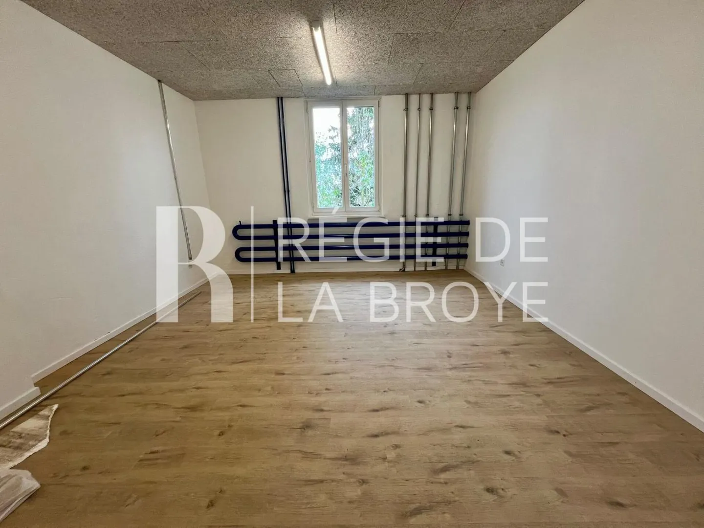 Industria - Foto 6 di 7