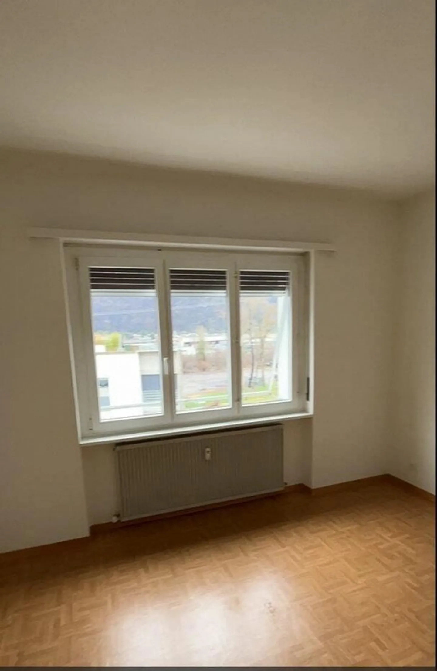 5.5 Room Apartment in Arbedo - Photo 9 of 11