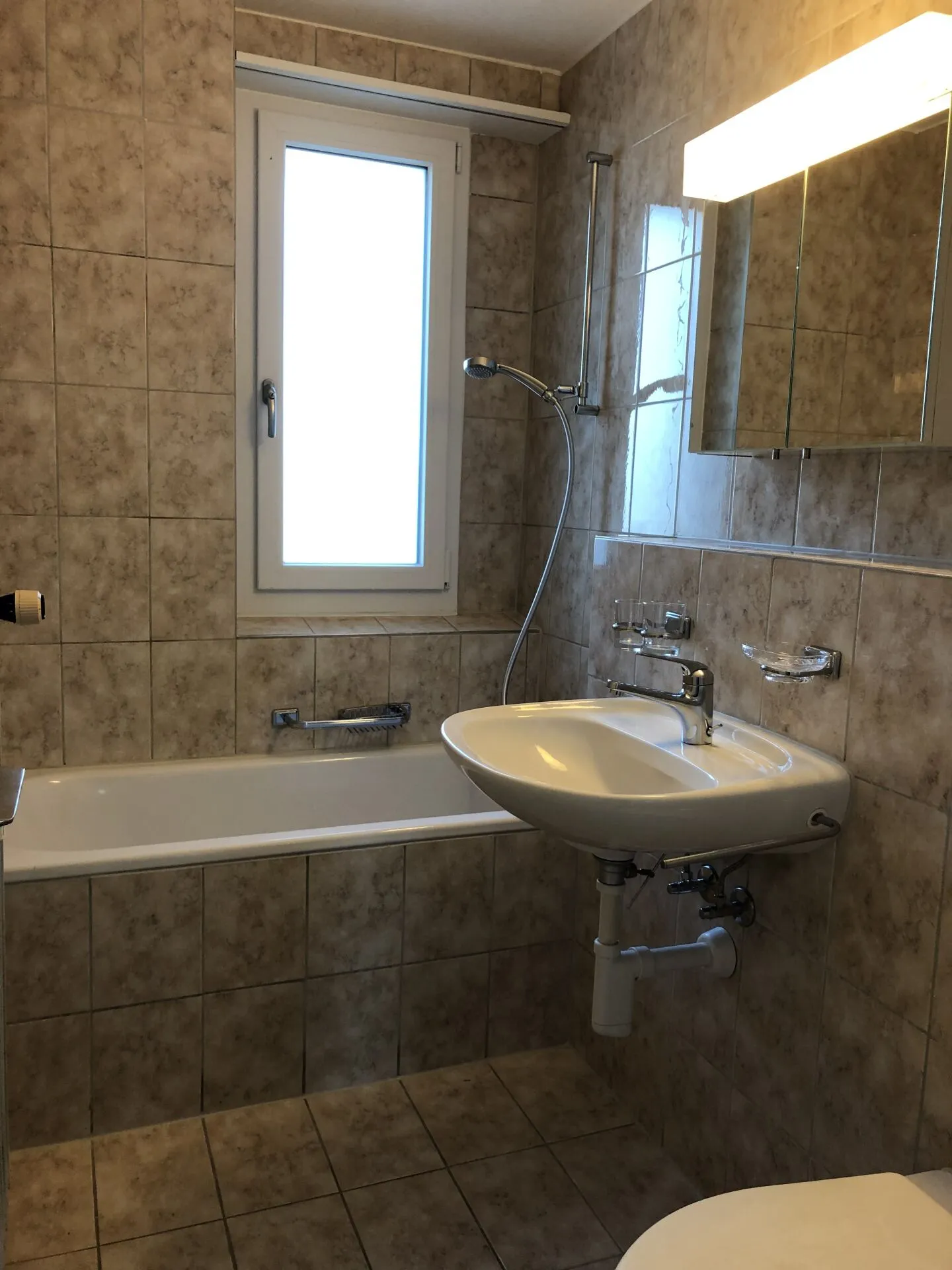 Appartamento 3 locali a Muttenz - Foto 3 di 7