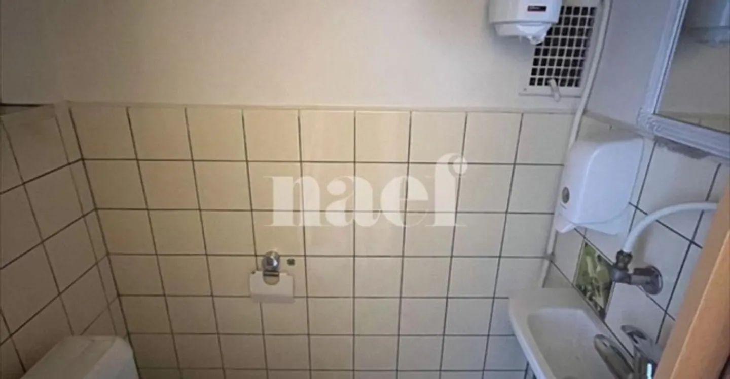 Magasin à louer - Photo 10 sur 11