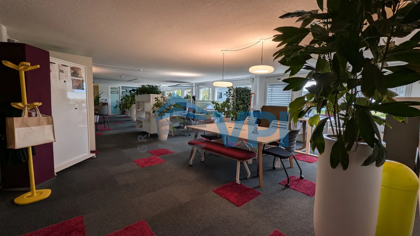 Mont-sur-Lausanne - Beautiful office of 486m2 with unloading dock - Photo 5 of 17