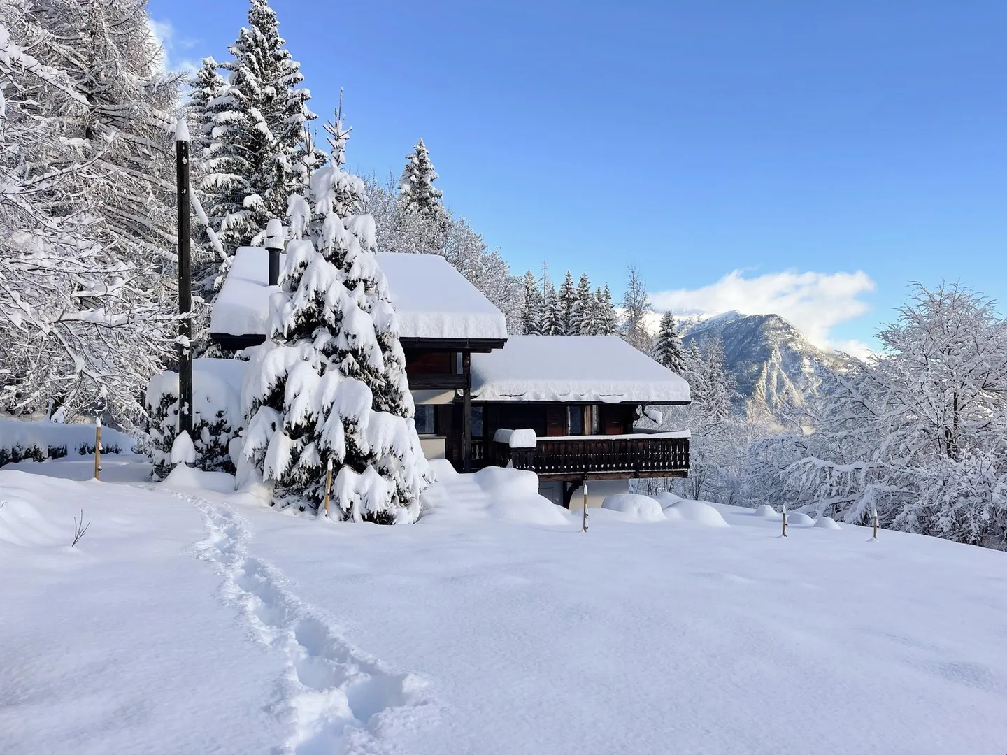 Zu der Saison - Prächtiges Chalet, umgeben von Grün, in Les Marécottes - Foto 2 von 17
