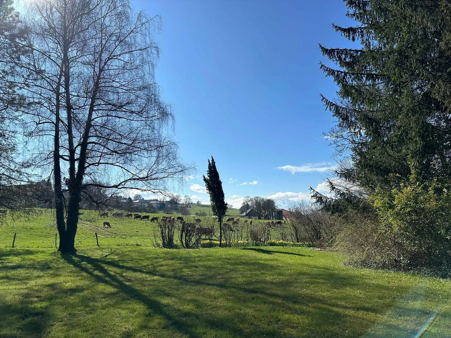 Occasione rara! Casa di campagna ai piedi del castello di Attalens - Foto 11 di 13
