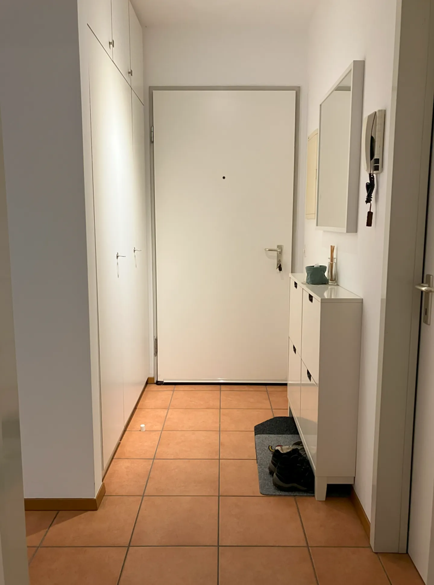 BARBENGO - TWO AND A HALF ROOM APARTMENT FOR RENT - Photo 2 of 6